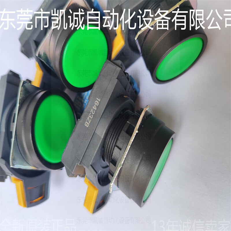 A22NN-BNM-NGA-G100-NN现货绿色带灯按钮开关自动复位A22NZ-S-G1A