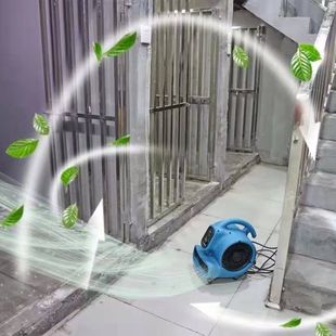 XPOWER宠物香风机香珠宠物店除臭除异味香氛净化负离子猫咪烘干机