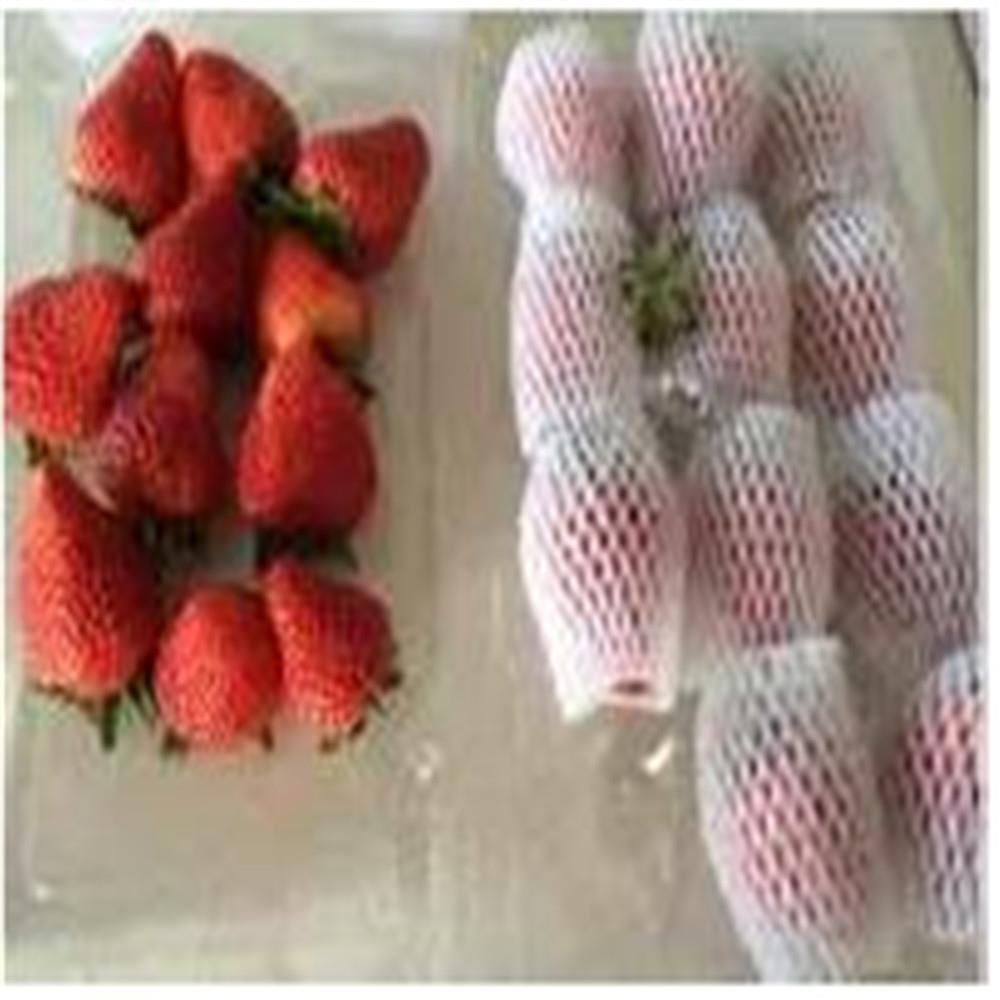 生产水果网套泡沫减震保护套epe高弹力加厚包装网套草莓套