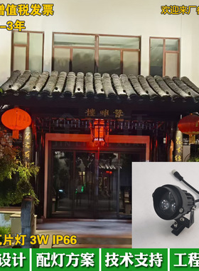 led瓦楞灯3W户外防水古建筑投射灯DC24V金黄光低压瓦片灯2700K
