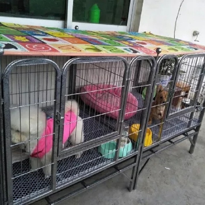厂家直销批发宠物跑床 狗跑床 宠物产床 狗笼犬用跑床 狗狗跑笼