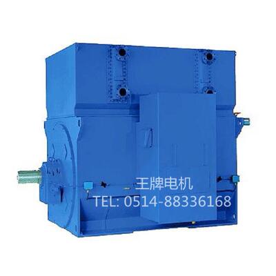 直销高压电机YRKS8006-62800KW10000V1000rpm