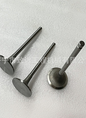 SD22高原型推土机配件 NTA855 山推发动机进气门排气门连杆曲轴