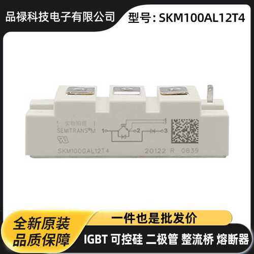 德国原装双向可控硅 IGBT功率模块SKM100GAL12T4 SKM100GAL123D