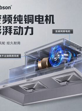 商用排烟罩不锈钢油烟机小型饭店食堂直排烟罩大吸力抽油烟机环保
