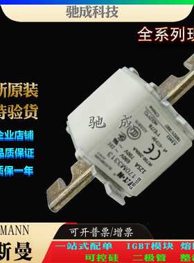 巴斯曼170M3313 170M3314 170M3315 大量现货 销售 方体熔断器