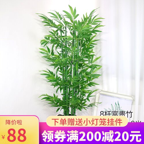1.8米胶叶富贵竹仿真q绿色植物盆景 塑料落地假竹子客厅酒店装饰