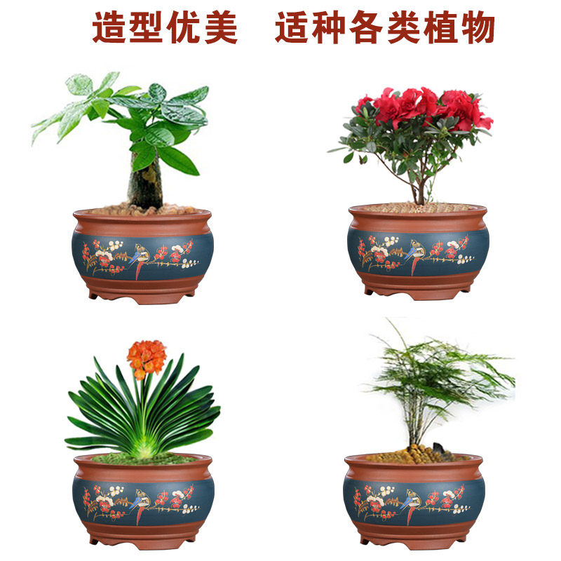 盆景盆宜兴紫砂盆肉肉花盆大口径多肉盆大码金钱草发财Y树文竹花,鲜花速递/花卉仿真/绿植园艺,花盆,淘宝优惠券,粉丝福利购,淘宝优惠卷