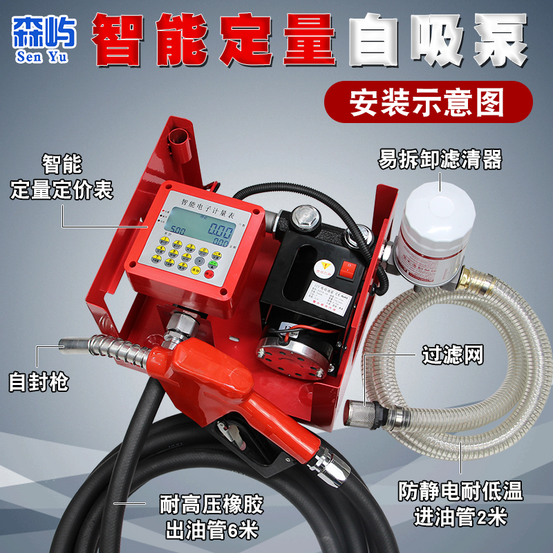 220V大流量电动泵全自动压力抽油泵12V24NV摇控计量泵车载自吸泵