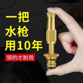 家用全铜高压洗车水枪乳胶伸缩水管园I林浇花软管喷头直喷枪套装