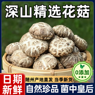 出口品质正宗随州椴木花菇干货肉厚大白花菇特级农家香菇煲汤菌菇