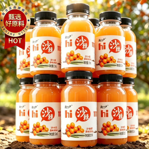沙棘汁果味饮料整箱维C果汁