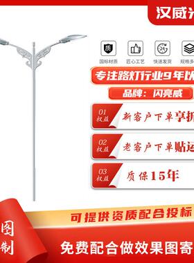 LED市电路灯城市公路道路照明灯高低臂双头市政路灯
