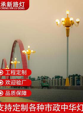 户外莲花造型玉兰灯广场道路9米led中华灯八叉5火名族文化景观灯