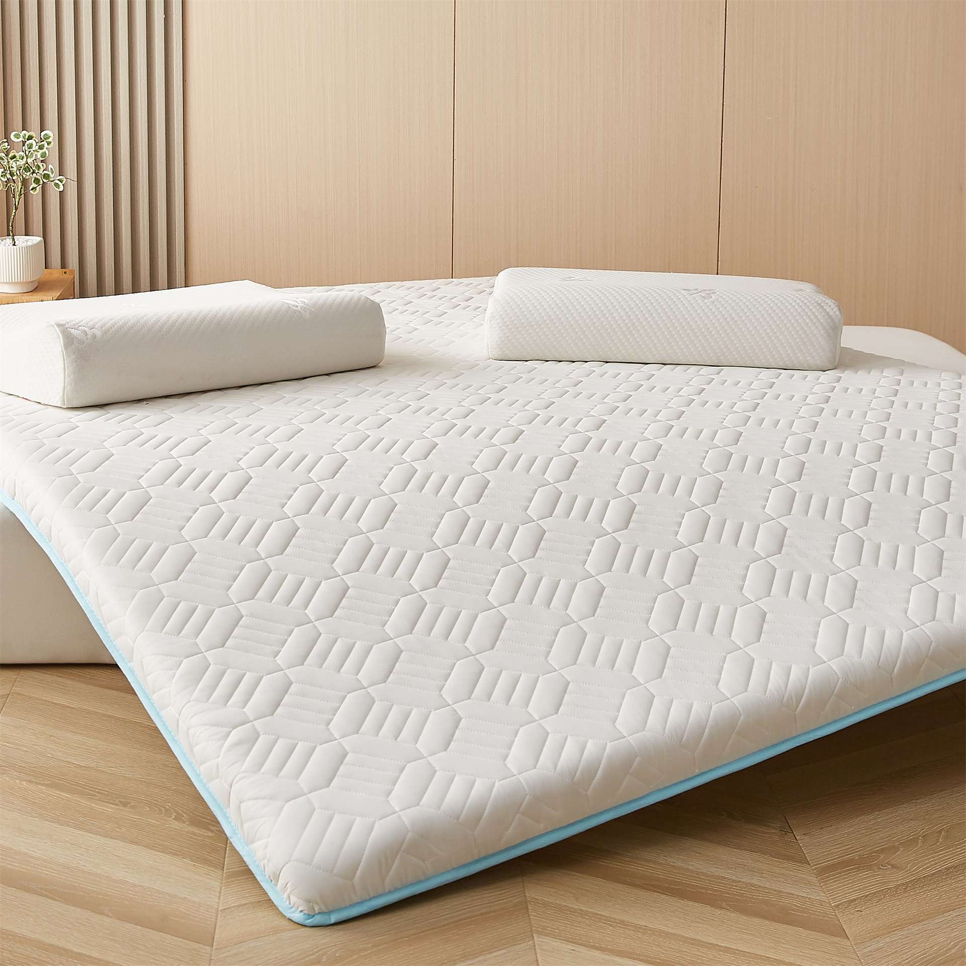 乳胶床垫加厚家用.米床垫软垫子榻榻米海绵垫学生宿舍单人铺