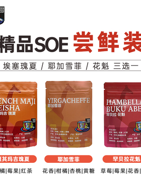 FS2C 埃塞原生种瑰夏/耶加雪菲/花魁浅度烘焙精品SOE咖啡豆试吃装