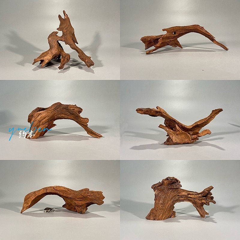 鱼缸造景沉木天然树桩水族箱装饰小号木晒台木头莫斯木水陆缸造景