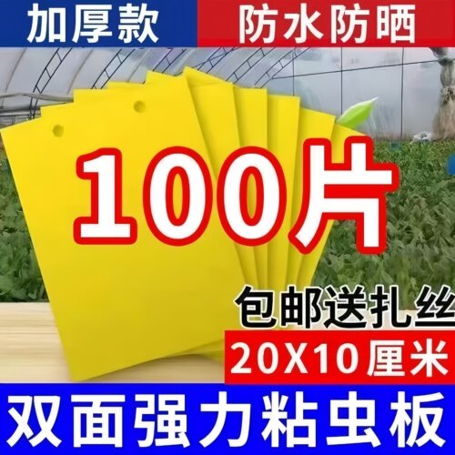 100张双面黄板粘虫板诱果蝇粘板