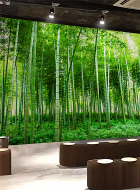 竹林大自然森林背景墙壁纸民宿客厅服装店直播间壁画竹子防潮墙布