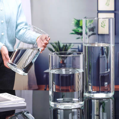 大口径玻璃花瓶透明水培富贵竹