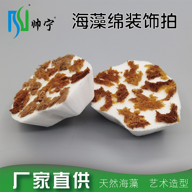 帅宁三色珠光金属漆点拍点彩艺术涂料工具多边形天然海藻绵装饰拍