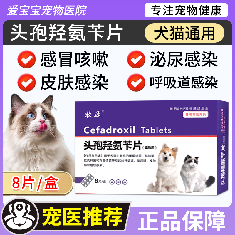 宠物消炎药头孢羟氨苄片