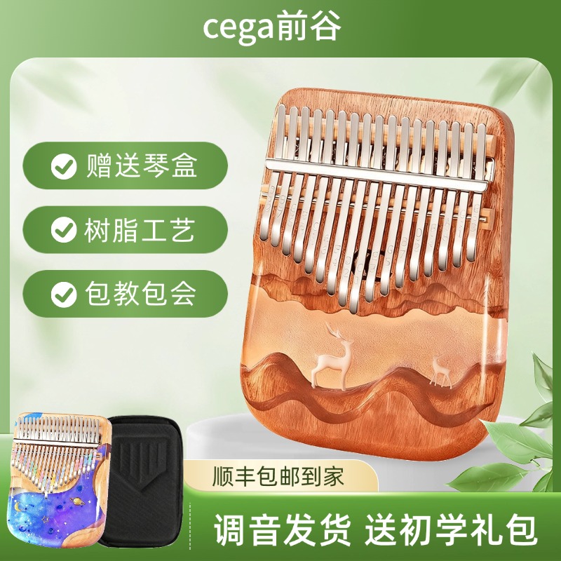 赠送教学礼包,顺丰包邮