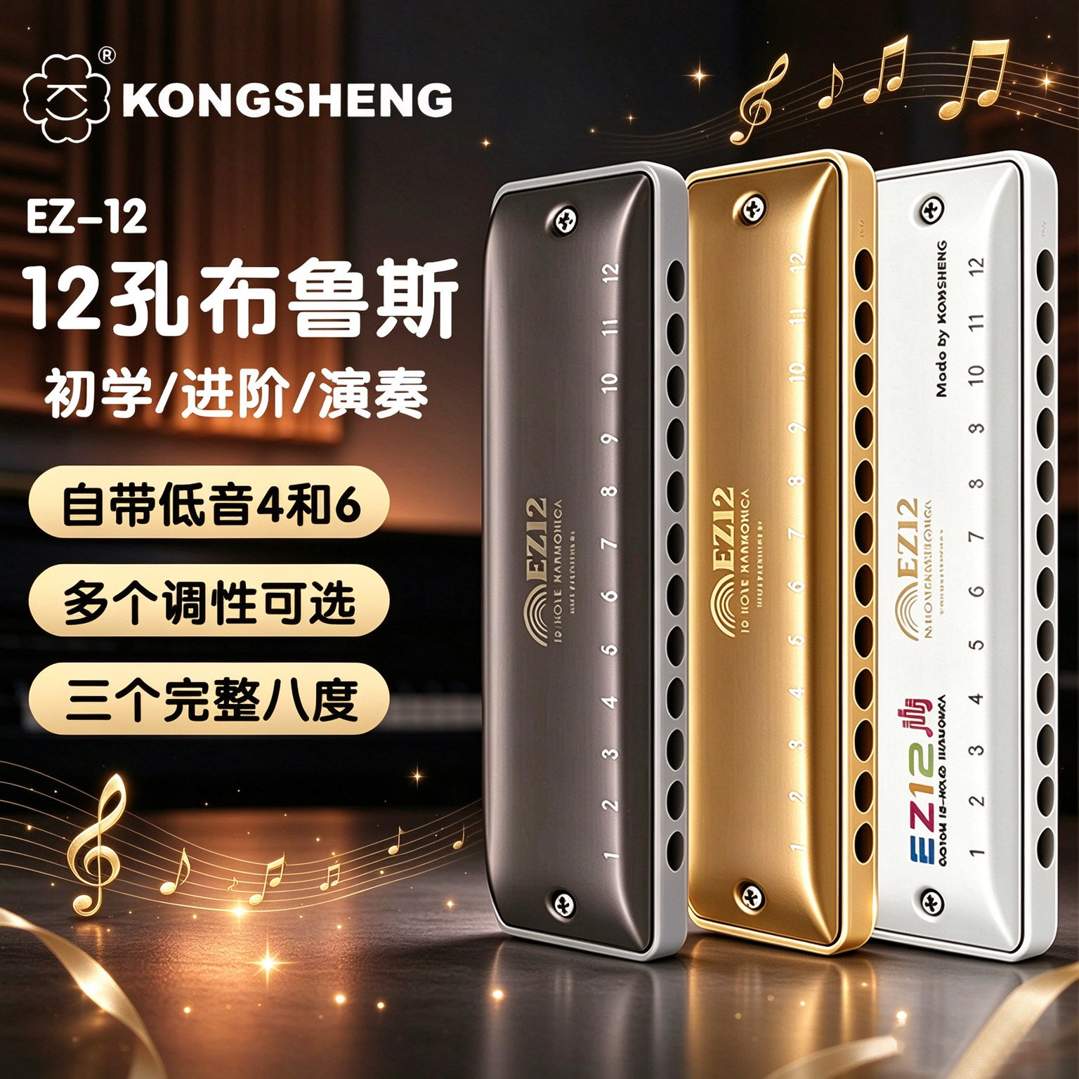 孔声12孔布鲁斯口琴带低音4和6