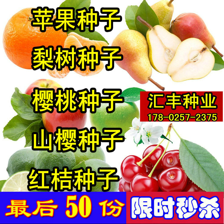 苹果种子梨树杜梨籽 桔子樱桃种子 枇杷山楂石榴葡萄木瓜核桃种子