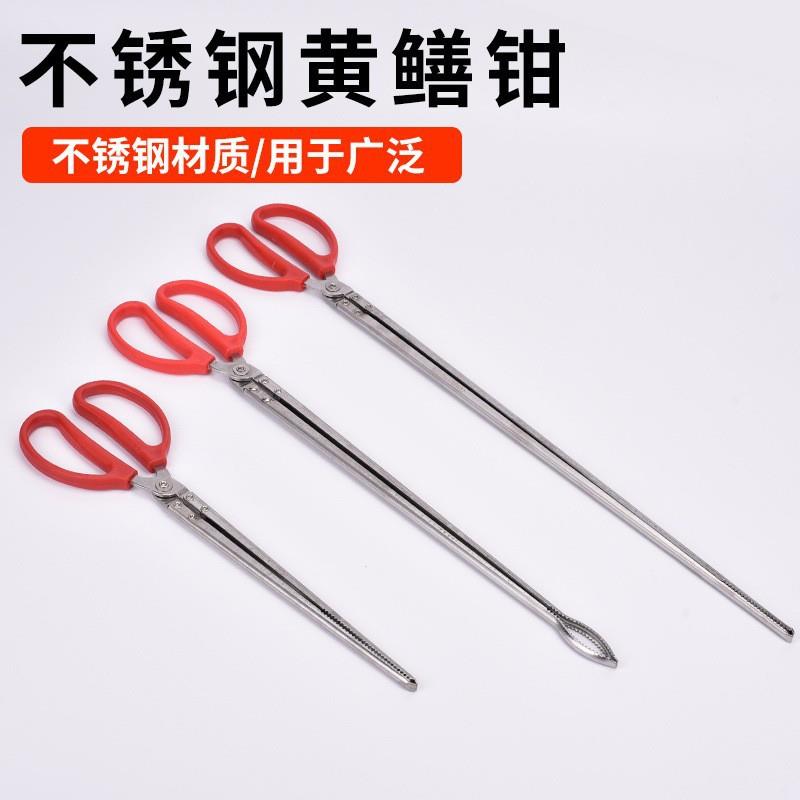 加长鳝鱼夹捕虾赶海防脱泥鳅夹多用途工具夹子不锈钢黄鳝夹