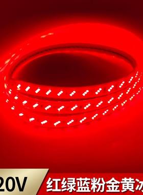 厂家直销户外防水220V灯条2835红色绿色金黄色粉色柔性LED灯带
