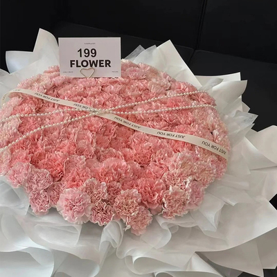 【小时达】康乃馨鲜花花束全国送