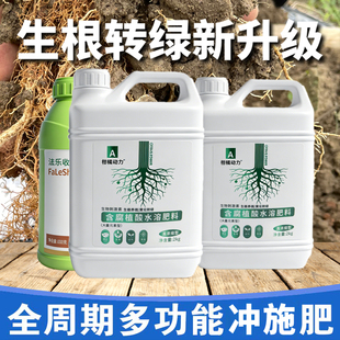 柑橘动力生根壮苗水溶肥促根果树冲施肥农用果树肥强力生根剂肥料