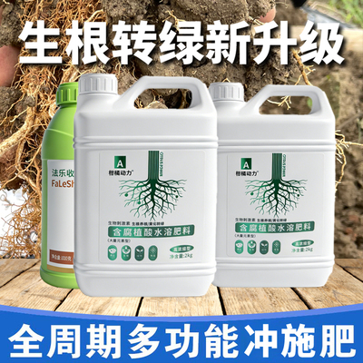 柑橘动力生根壮苗水溶肥促根果树冲施肥农用果树肥强力生根剂肥料