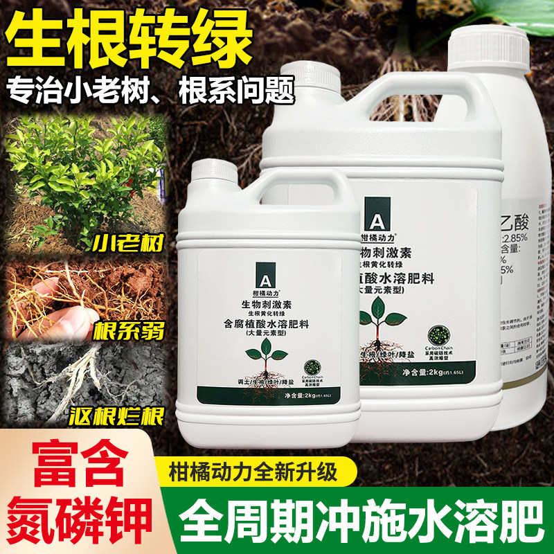 柑橘动力含腐殖酸氮磷钾生根壮苗水溶肥大量元素促根果树调土农用