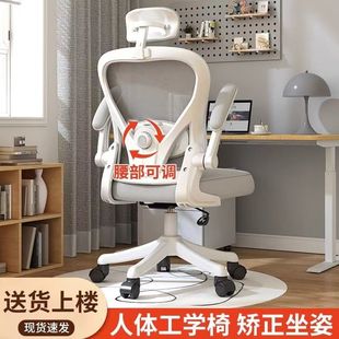 电脑椅学生久坐书房人体工学椅护腰办公椅网布透气靠背宿舍电竞椅