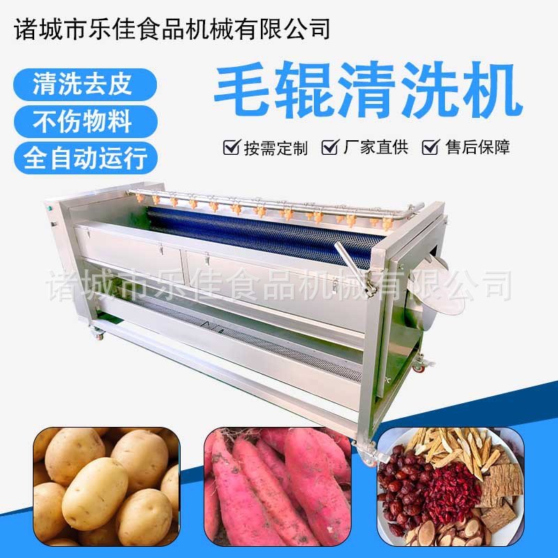 现货杏子毛刷清洗设备 莲藕去皮清洗机 毛辊全自动去皮清洗机
