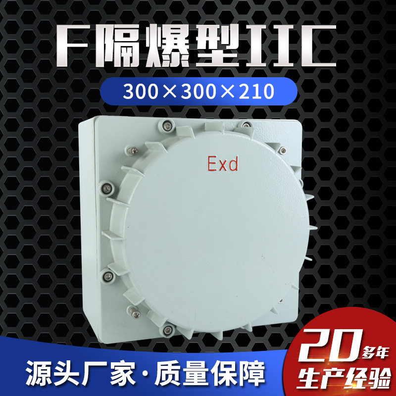 隔爆ⅡC级300×300×210配电箱