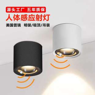 人体感应射灯cob红外家用客厅天花灯楼梯吸顶感应灯 led明装