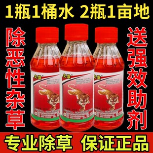 正品尖歌草甘膦铵盐除草烂根水剂异丙胺盐磷农药高强度杂草一扫光