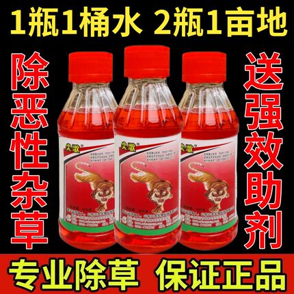 正品尖歌草甘膦铵盐除草烂根水剂异丙胺盐磷农药高强度杂草一扫光