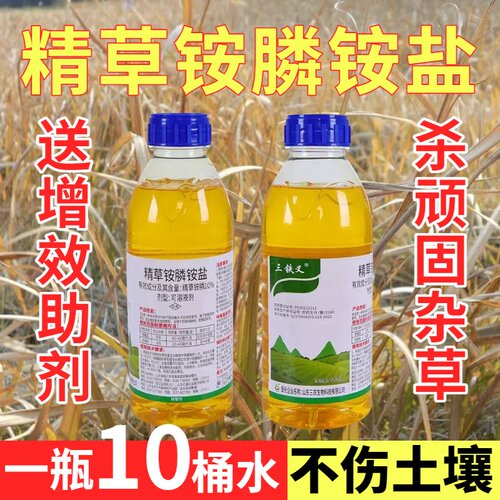 精草铵膦铵盐除草剂果园牛筋专用