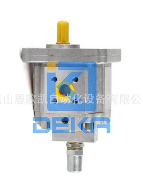 现货供应HPI齿轮泵P1CBN1006CT20C01N
