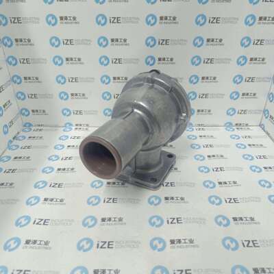 GOYEN阀RCA45FS001原装