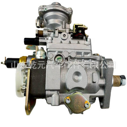 高压柴油 喷油泵 0460424354  T2643H076B  VE4 12F1300