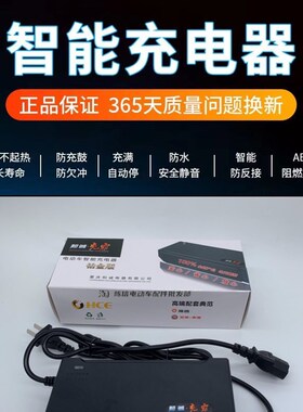 重庆和诚智能e电动车充电器60V20A48V12/20A72V20新国标