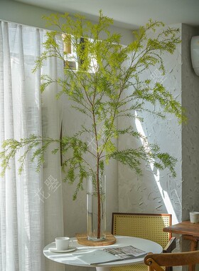 花曌 千a层金树千层金香柳鲜切花鲜花水养真花家居瓶插花可做干花