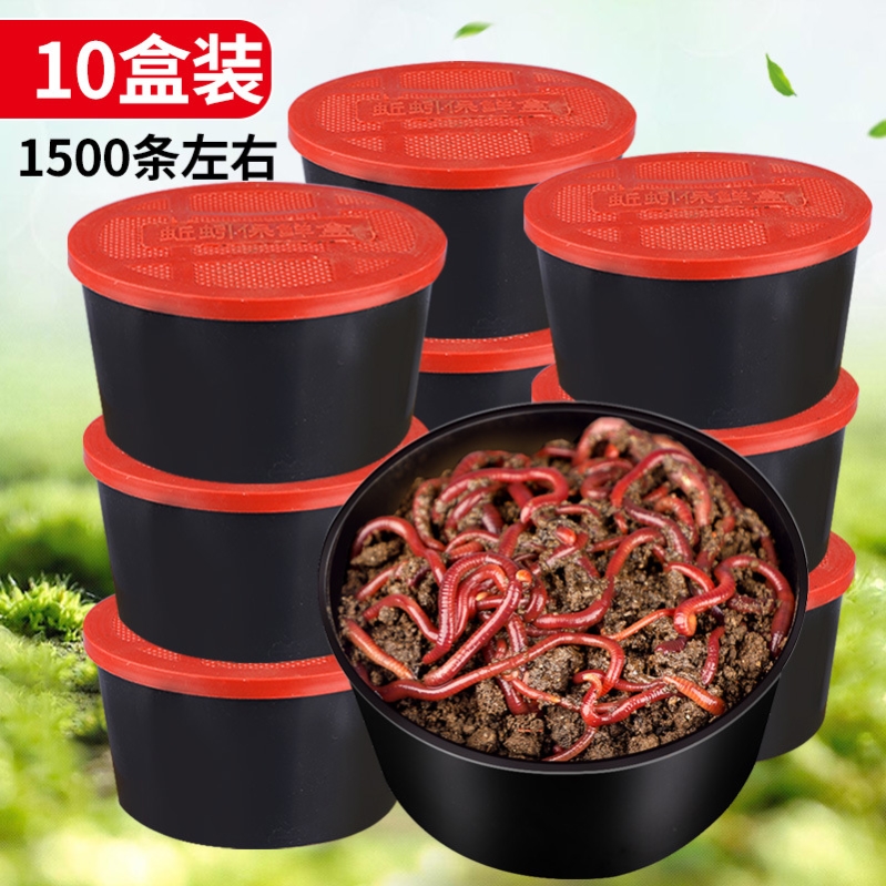 【极速发货】蚯蚓活饵 鲜活牛粪红虫 垂钓鱼饵料 野钓 鱼食龟食包