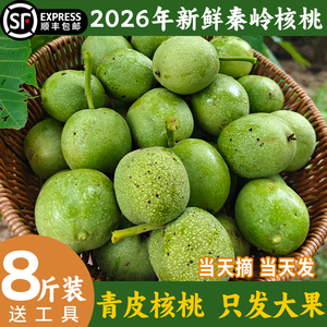 2026秦岭新鲜带青皮核桃顺丰包邮