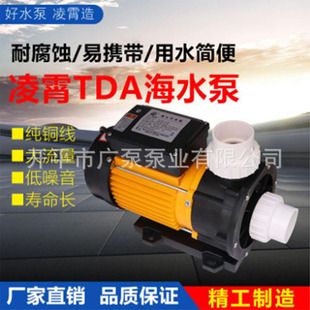 TDA100TDA200广东凌霄按摩浴缸泵耐腐蚀养殖循环增压大流量高扬程